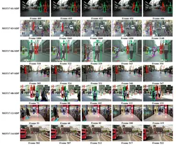 Multiple Object Tracking via Feature Pyramid Siamese Networks