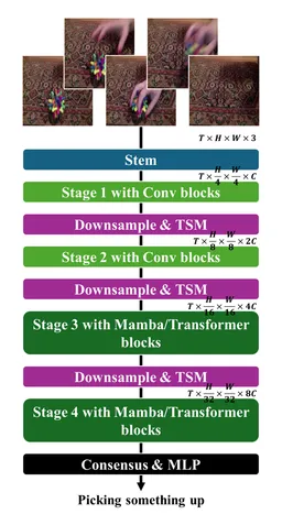 Making Mamba Vision Temporal: Leveraging TSM for Efficient Video Understanding